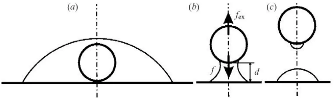 Figure 13 Schematic illustration of the liquid profile and the definition of the distance d, the capillary force f, and  the external force f ex : (a) the object is fully covered with the liquid; (b) the liquid bridge; (c) after collapse of the 