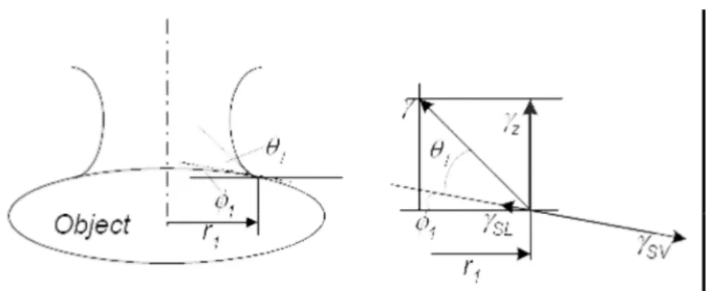 Figure 8 Origin of the tension force (source [1]) 