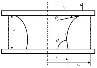 Figure 9 Energetic approach: geometry used the case of two parallel plates (source [1]) 