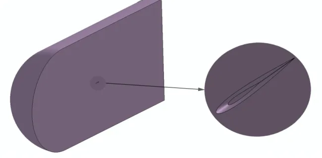 Figura 3-4: Dominio del fluido 