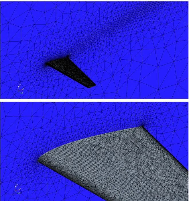 Figura 3-10: Mesh superficiale e particolare 