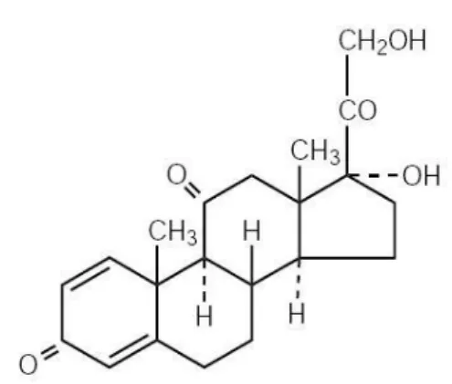 Fig 3. Struttura chimica del prednisone 