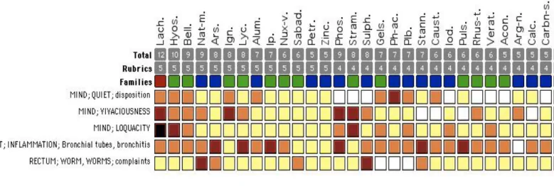 Figure 1. Repertorization analysis (Mac Repertory 5.5). 