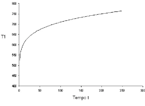 Figura 1.5: valore di T 1   in funzione del tempo. 