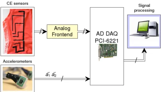 Figure 3.2: The multisensory model.