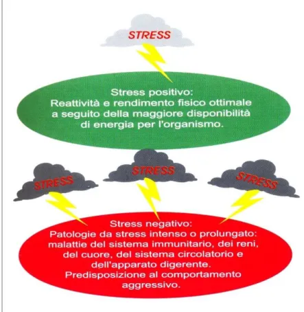 Fig 6: Le conseguenze positive e negative dello stress. 