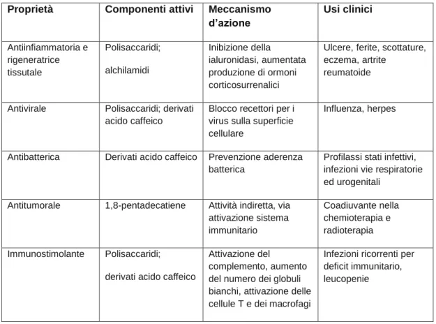 Tab. 4 - Proprietà farmacologiche dell’Echinacea (Capasso F et al., 2000)