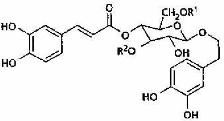Figura 6: Struttura chimica dei fenilpropanoidi 
