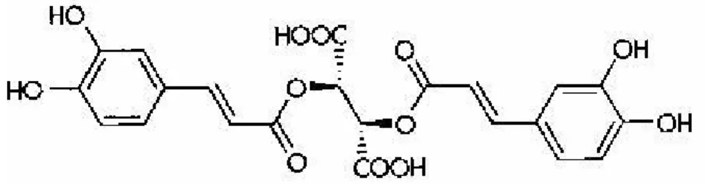 Figura 8: Struttura chimica dell’acido cicorico (acido 2,3-diceffeoil tartarico)  e dell’acido caftarico (acido 2-caffeoil tartarico) 