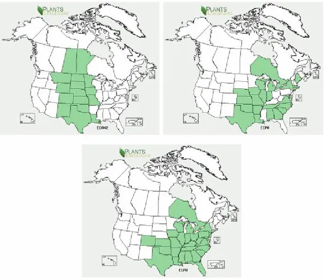 Figura 4: Cartine geografiche - http://plants.usda.gov 
