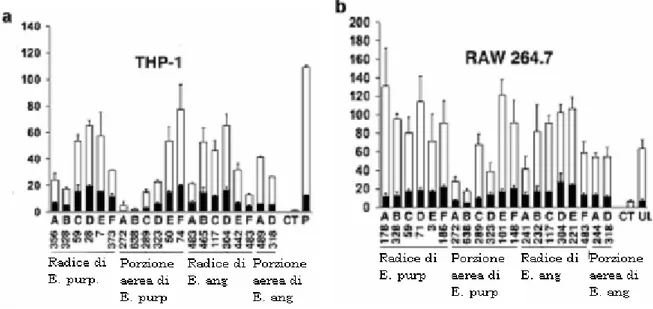 Figura 11: La maggior parte dell’attività stimolante di estratti ottenuti dalla totalità  dell’Echinacea mostrata  in  vitro  su  monociti/macrofagi  è  eradicata  ridotta  fortemente  dal  trattamento  con  lipoprotein  lipasi  e  Polimixina  B