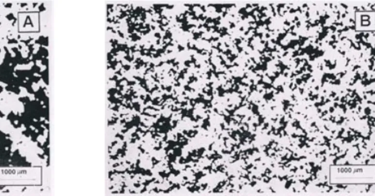 Figura 5 - Osservazione al microscopio ottico di una pasta di cemento flocculata (A) e dispersa (B) per la presenza di additivo superfluidificante.