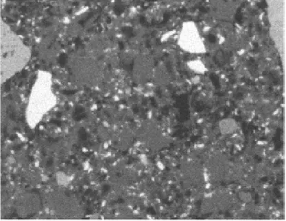 Figura 25 - Microstruttura di un campione contenente silice ed il 10% di M500. Le particelle di silice sono
