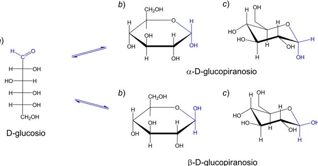 Figura 1 .  a) D-Glucosio nella proiezione di Fischer; b) D-glucosio nelle proiezioni di Haworth; c) D-