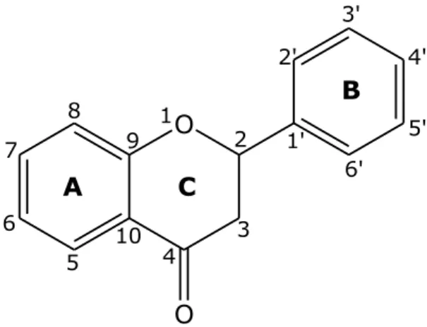 Figura 2.10 Struttura generale dei flavonoidi. 