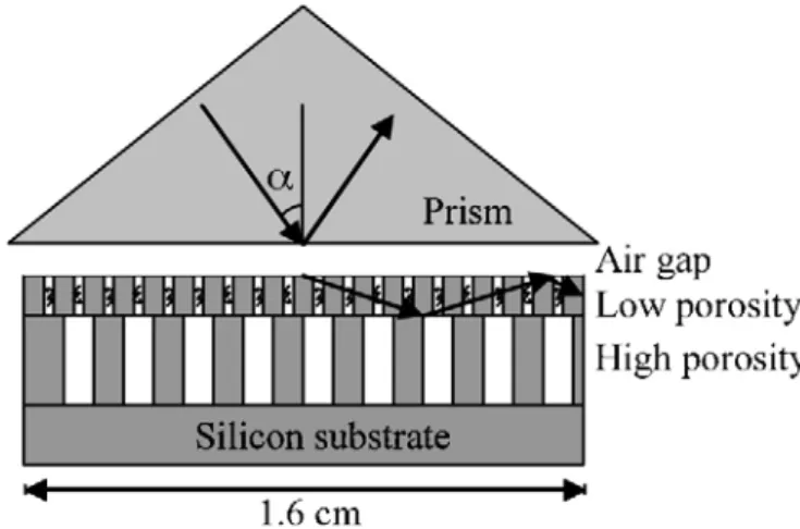 Fig. 1.12 Schema del dispositivo costituito da una guida d’onda risonante basata su silicio  poroso [18]