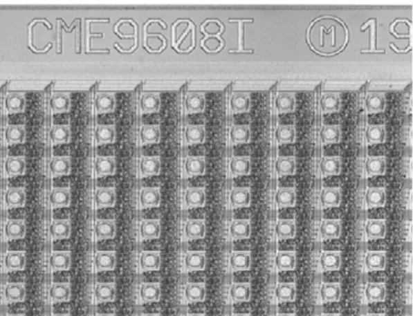 Fig. 1.1 Immagine del DNA microarray della Combimatrix di prima generazione  (CME9608I) [7,8]