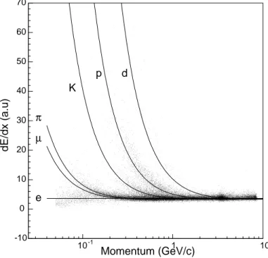 Figure 2.11: Ionization energy loss measured in the SVT as function of track momentum
