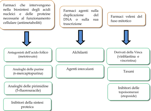 Figura 2. Classificazione degli antitumorali sulla base del meccanismo d’azione 