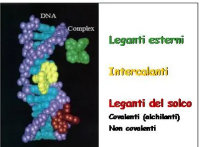 Figura 3. Classificazione dei farmaci secondo il meccanismo d’azione 