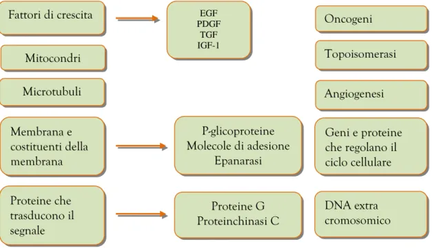 Figura 4. Classificazione dei nuovi bersagli della terapia antitumorali Mitocondri 