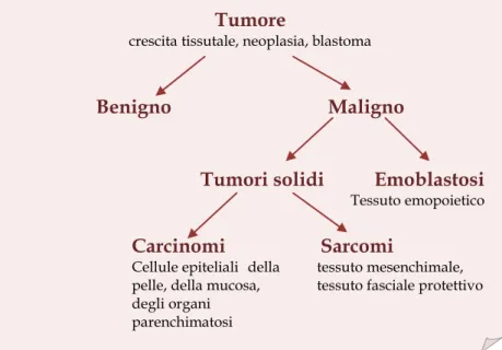 Figura 1.  Nomenclatura e classificazione dei tumori. 