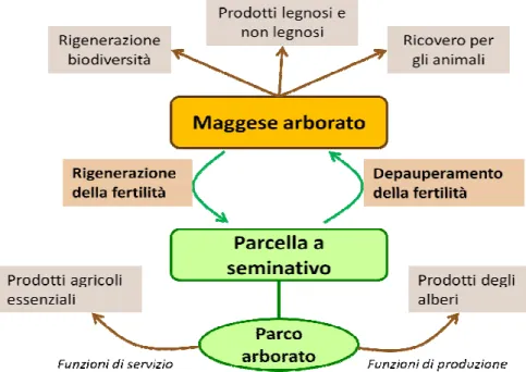 Figura 7. il ciclo di gestione del parco agroforestale 