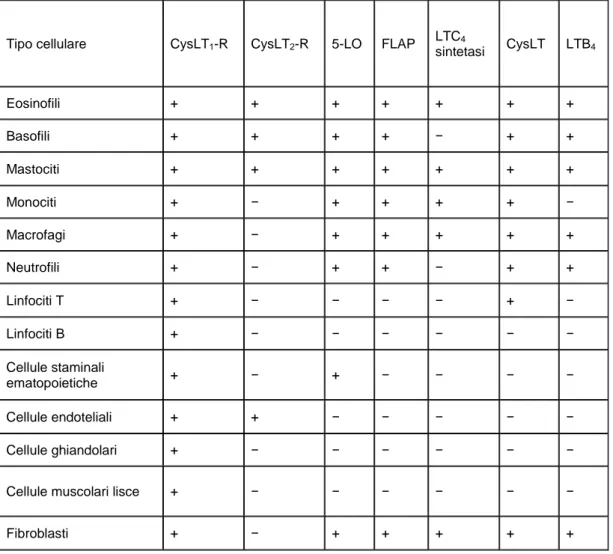 Tabella 1. Produzione dei CysLT e distribuzione degli enzimi della biosintesi e dei  sottotipi recettoriali 