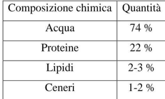 Tabella 1. Composizione chimica media della carne di coniglio (%) (Lucifero et al., 1988) 