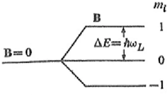 Fig. 2.1 Splitting di un livello energetico atomico a causa della presenza di un campo magnetico (effetto Zeeman) per l=1 (figura estratta da rif