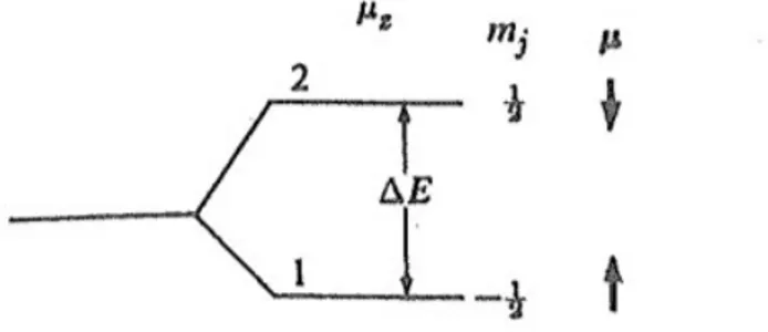 Fig. 2.2 Descrizione quantistica della scuscettibilit`a paramagnetica. Le frecce sotto µ indi- indi-cano l’orientazione del momento dei vari livelli