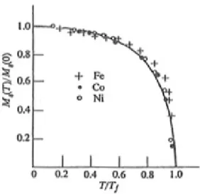 Fig. 2.5 Magnetizzazione di saturazione M S (T) in funzione della temperatura T per Fe, Co