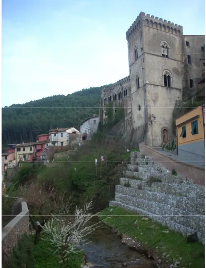 Figura 9 Buti, foto di Castel di Nocco. 