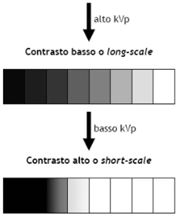 Figura 28: Rappresentazione schematica dei livelli di grigio in basso contrasto e altro  contrasto 