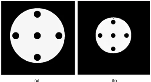 Figura 35: ROI per il calcolo di uniformità e rumore; (a) fantoccio di 24 cm di diametro con  ROI quadrate di 3cm, (b) fantoccio di 15 cm di diametro con ROI di 2 cm 
