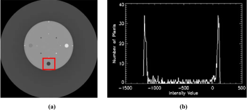 Figura 42: Immagine acquisita con parametri di acquisizione 80kV, 200mA, Slice thickenss  0.5, modalità S&amp;S;  (b) istogramma locale della regione evidenziata in rosso