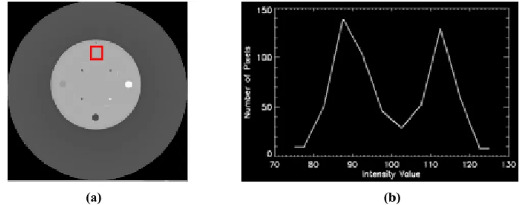 Figura 44: Immagine acquisita con parametri di acquisizione 120 kV, 0.5 di slice thickeness,  in  modulazione  di  corrente  (51  mA)  e  modalità  S&amp;S;  (b)  istogramma  locale  della  regione  evidenziata in rosso (acrilico)