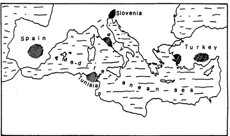 Fig. 1.2.   The belt of cinnabar deposits in the Mediterranean basin. 