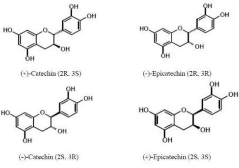 Figura 2.10 Struttura catechine ed epicatechine 