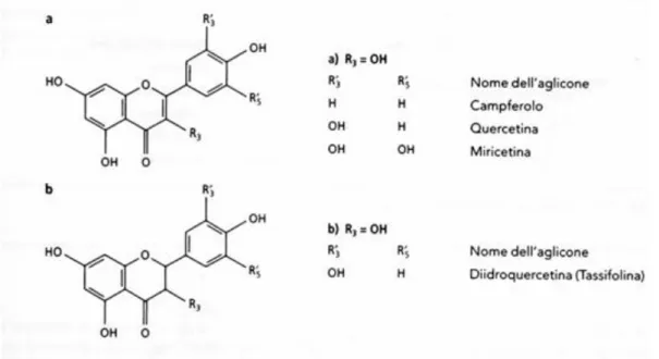 Figura 2.5 I flavonoidi 