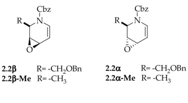Figura 2.2.  Allil epossidi di tipo imminoglicale 2.2α,  2.2β e corrispondenti 6-desossi derivati  2.2α-Me, 2.2β- 2.2β-Me