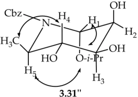 Figura 3.1. Effetti NOE riscontrati nell’i-propil-α O-N-Cbz-imminomannopiranoside 3.31