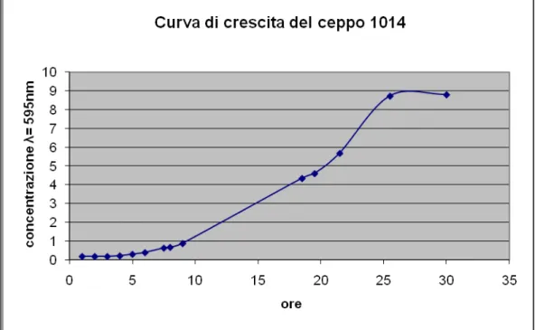 Fig. 13: curva di crescita del ceppo wildtype 1014 in YPD2% 
