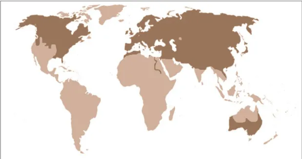 Fig. 1 - Distribuzione mondiale della volpe rossa 