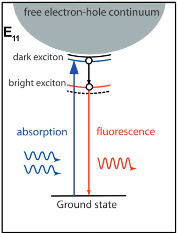 Figure 2.11: Schematics showing the experimatal approach to identify the nature of the excited states in carbon nanotubes