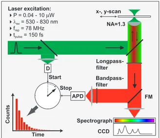 Figure 3.5: The schematics of the TCSPC experiment. The delay time between a laser excitation pulse (start pulse) and the detected PL photon (stop puls) is determined by a TCSPC acquisition card.