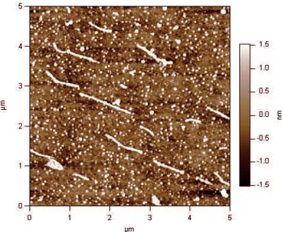 Figure 4.1: Typical AFM image of the sample containing micelle en- en-capsulated nanotubes
