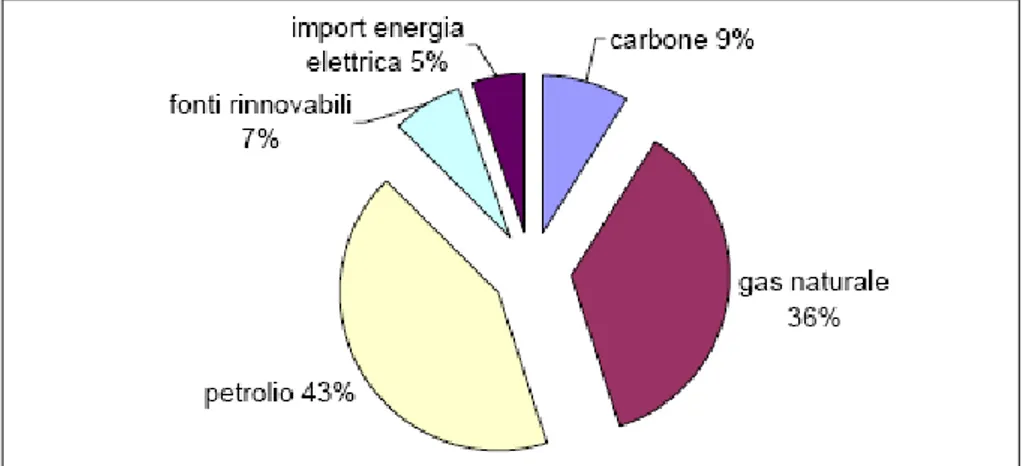 Figura 1.5.1-Disponibilità di energia per fonte, Italia 2007 