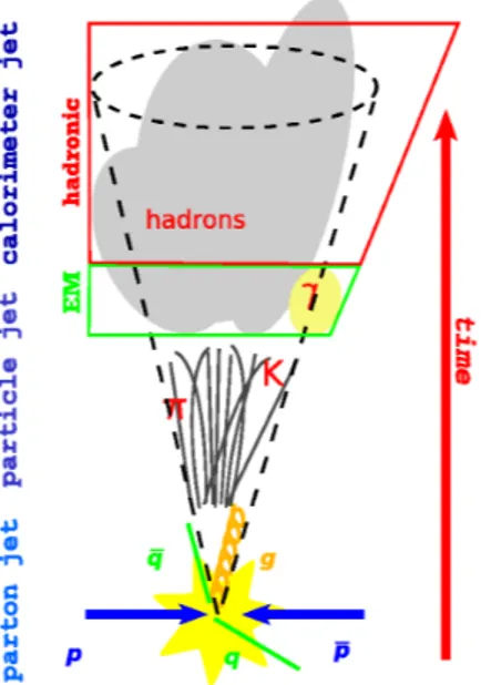 Figure 3.3: A parton originating from a hard scattering hadronizes and generates a collimated spray of particles, a jet.