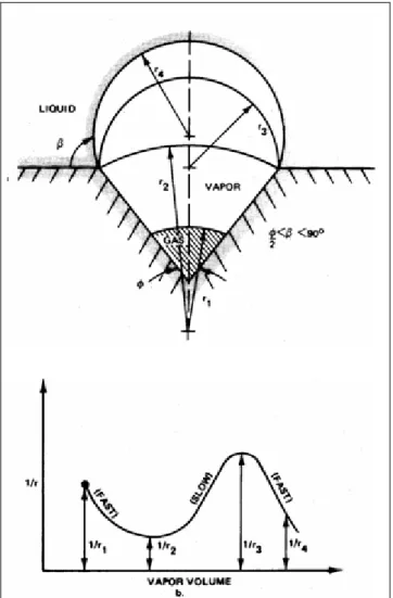 Figura 2.10: Accrescimento della bolla, andamento del rapporto 1/R B  con il volume di 